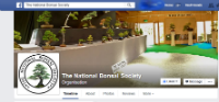 The National Bonsai Society Facebook page